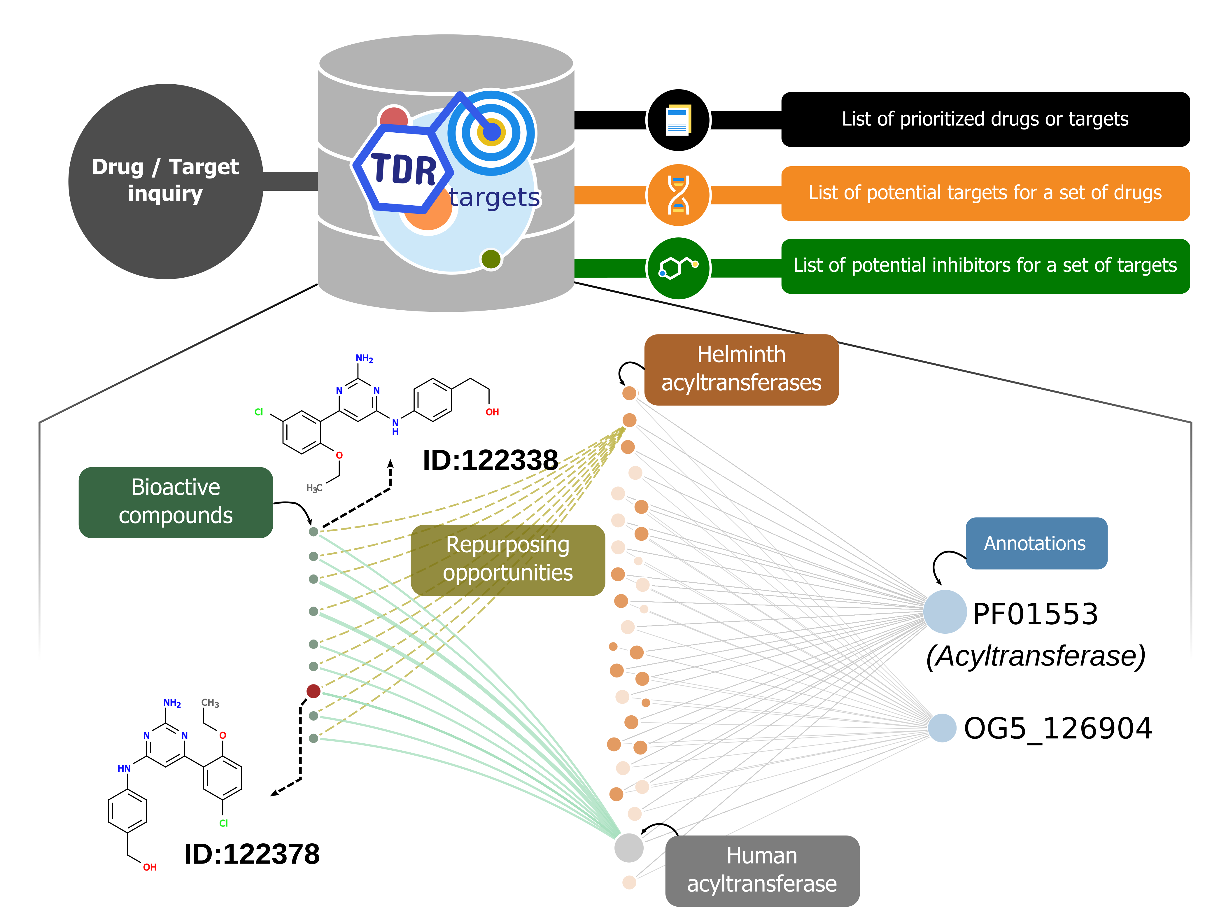 Graphical abstract