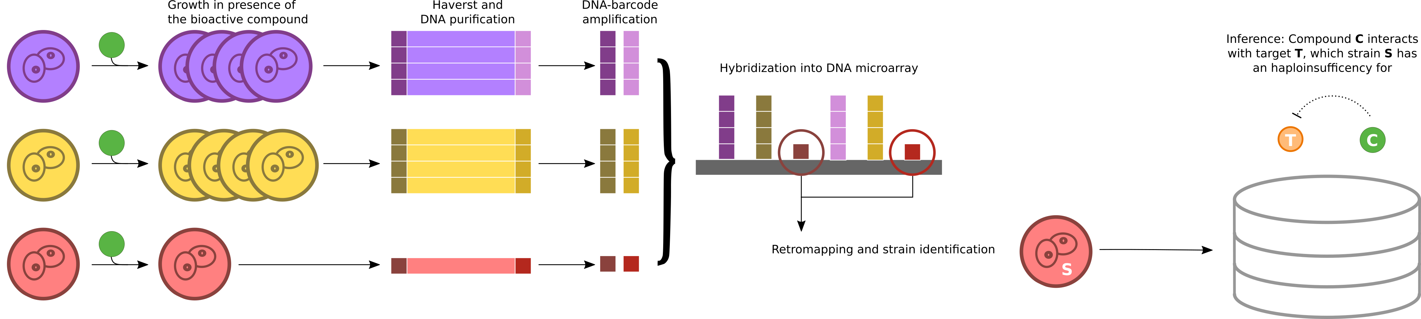 chemogenomic curation