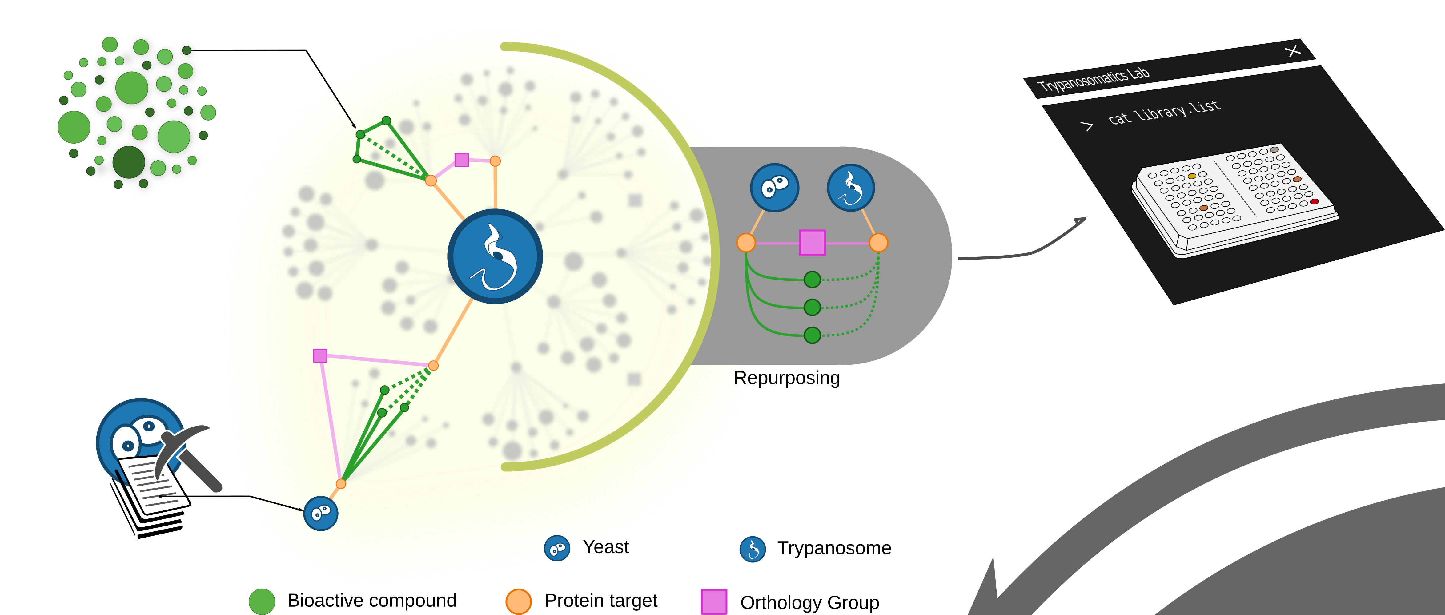 Graphical abstract